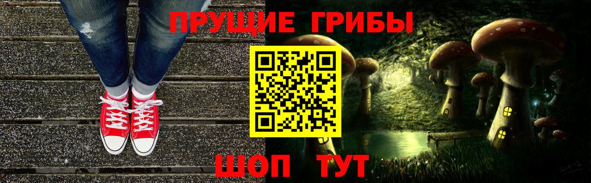 Саратов  Псилоцибиновые грибы Psilocybine cubensis  Вход с VPN  хочу   Галлюциногенные грибы мухоморы 